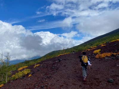 2025年10月10日（9_38）(3)