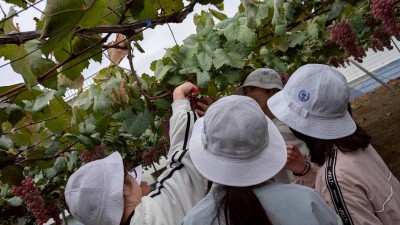 2025年10月10日（16_22）