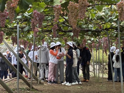 2025年10月10日（17_42）(4)