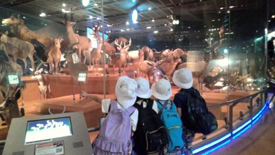 WIN_20251003_10_18_51_Pro