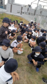 WIN_20251113_13_26_25_Pro