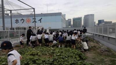 WIN_20251113_13_25_24_Pro