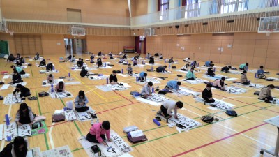 WIN_20260113_11_01_42_Pro