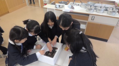 WIN_20260218_11_42_06_Pro