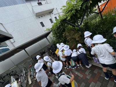 6月26日＿町たんけんにいこう！＿自分たちが住む豊海地区を歩いて町の魅力を再発見しました。